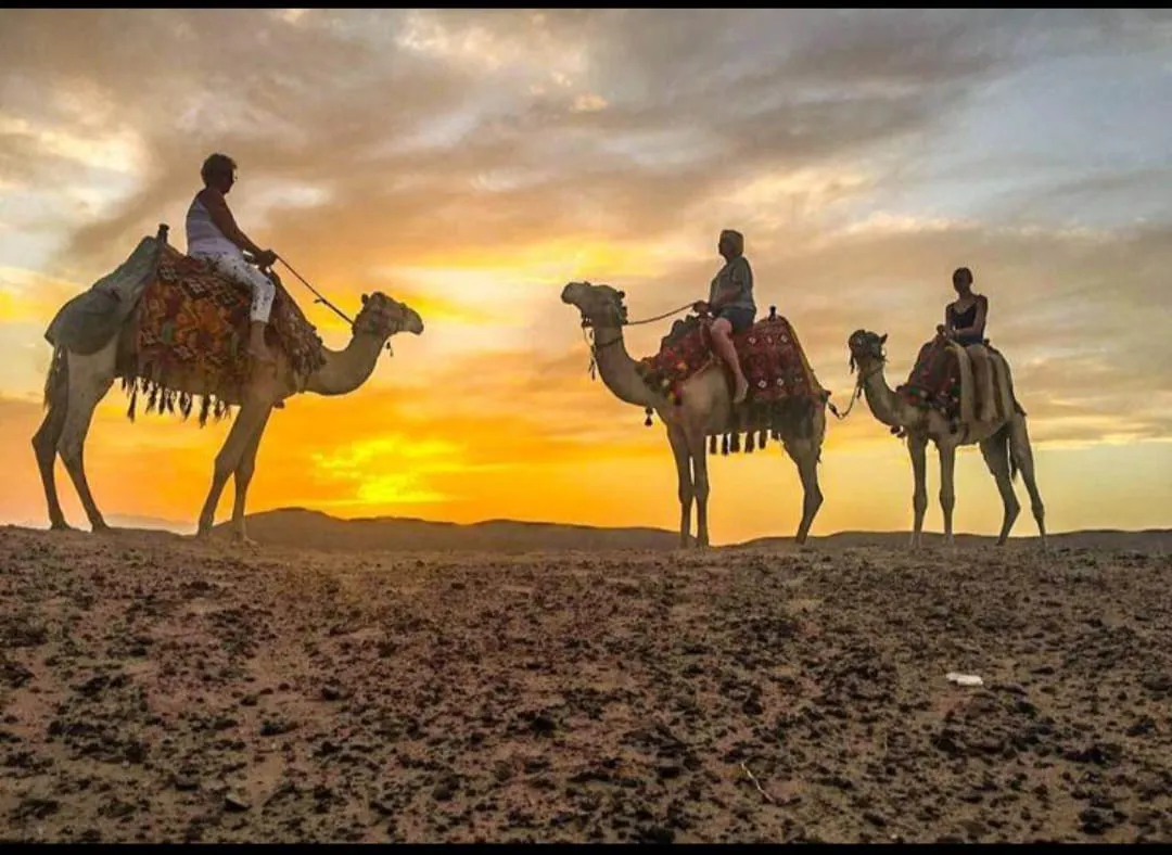 🐪✨ Desert Safari Adventure – El Gouna / Hurghada Desert 🏜️🔥 Desert safari Adventure El Gouna hurghada desert /IMG-20260702-WA0093.jpg